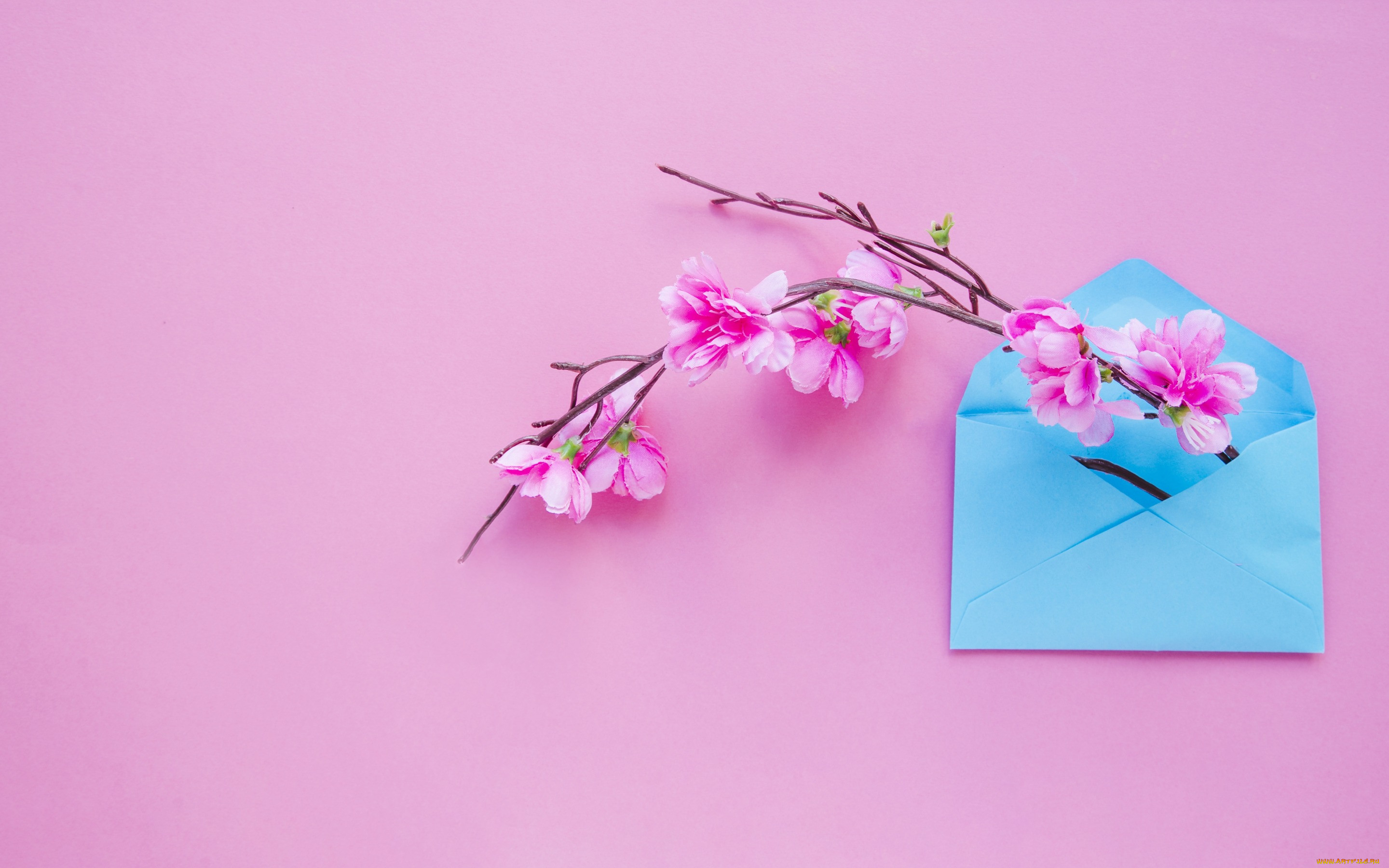 , ,  ,  , blossom, , , , flowers, spring, , , , letter, pink